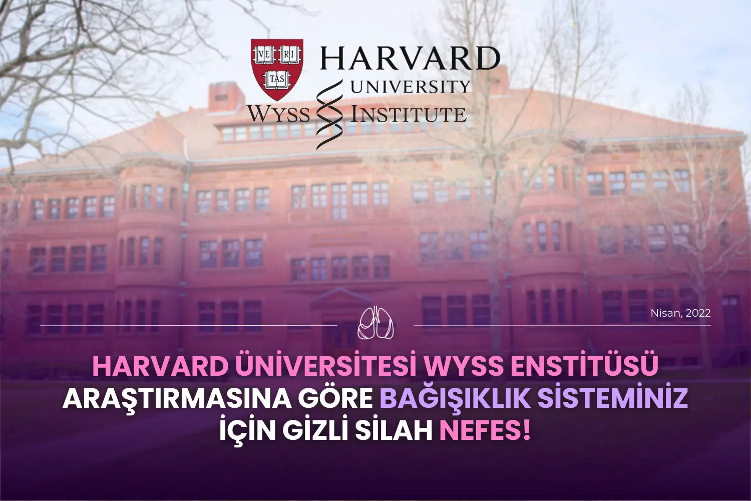 HARVARD ÜNİVERSİTESİ WYSS ENSTİTÜSÜ ARAŞTIRMASI